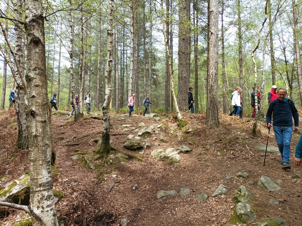 04 27 rochers d angennes 1 en sous bois