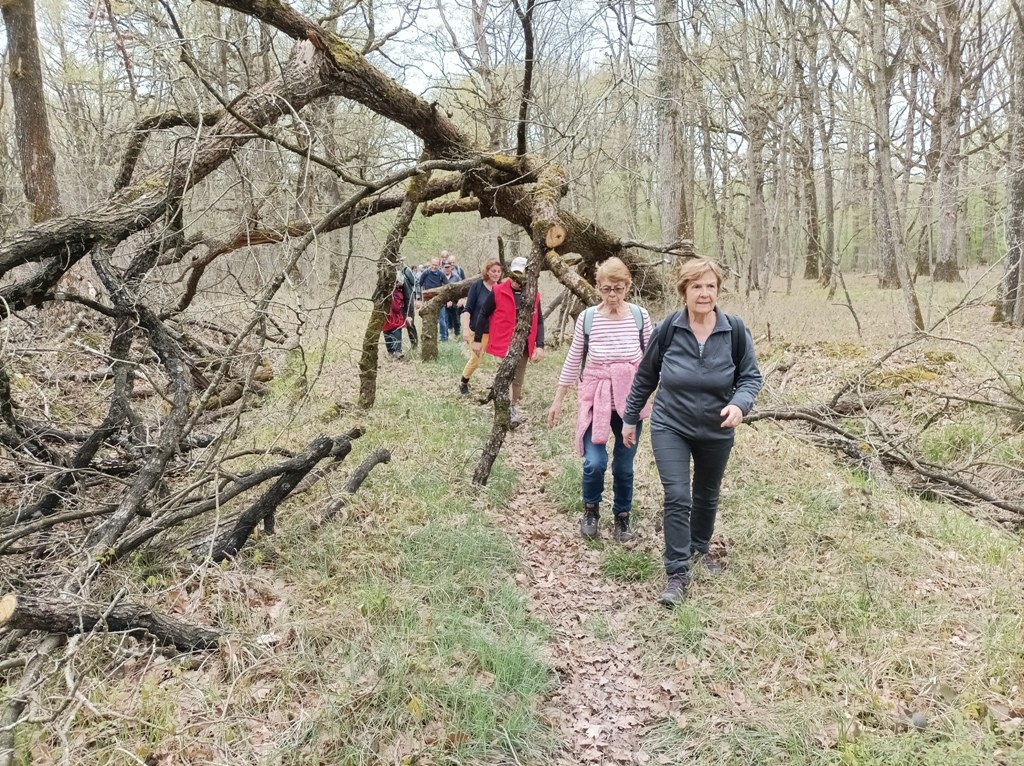 04 27 rochers d angennes 6 autre obstacle