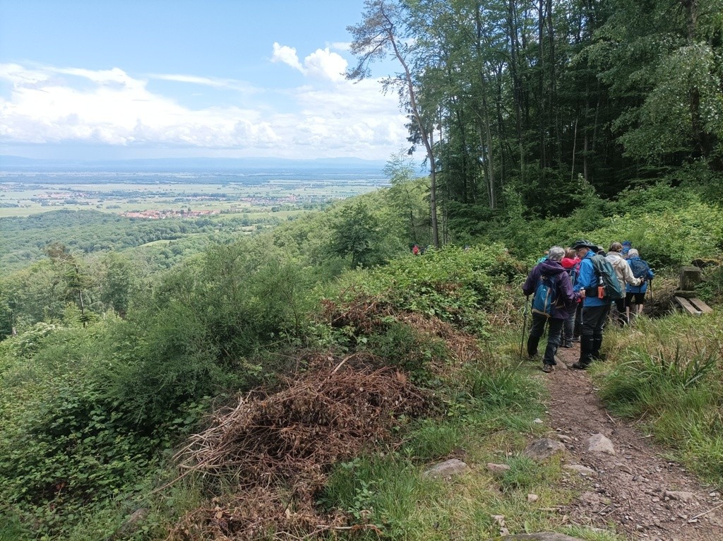 05 25 mont sainte odile 16 