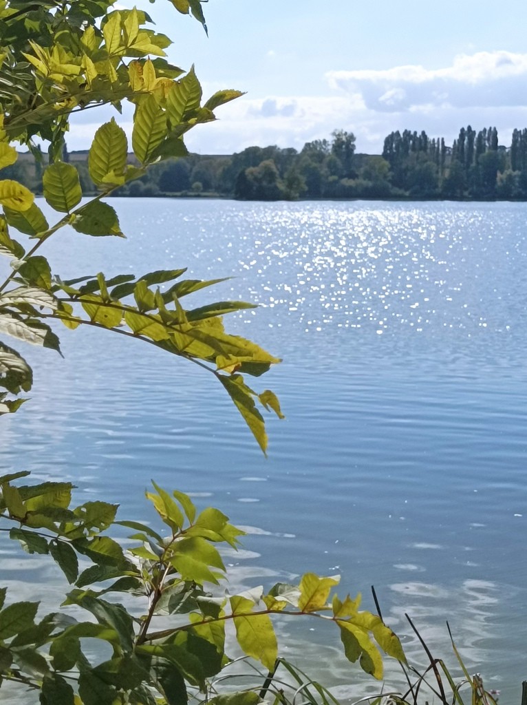 09 14 mezieres 6 vue sur l etang