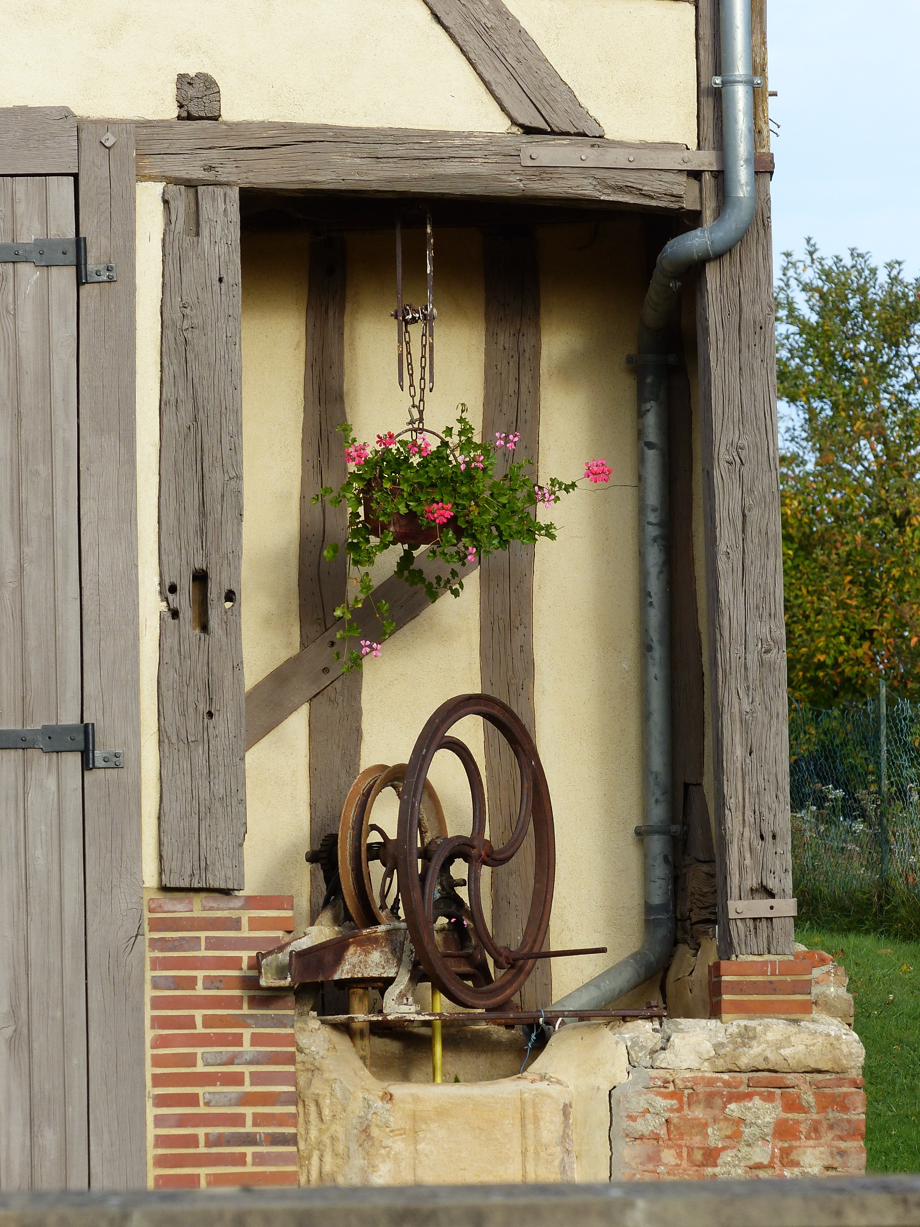 10 16 lapin blanc 11 