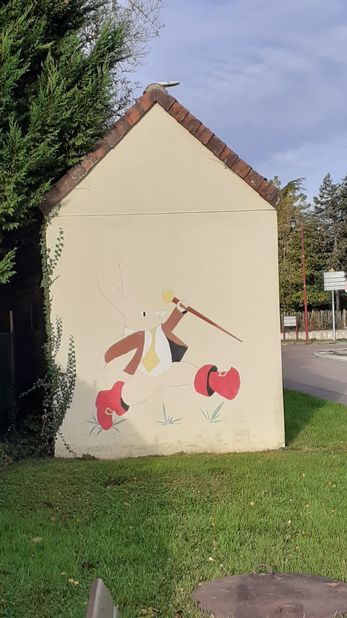 10 16 lapin blanc 5 