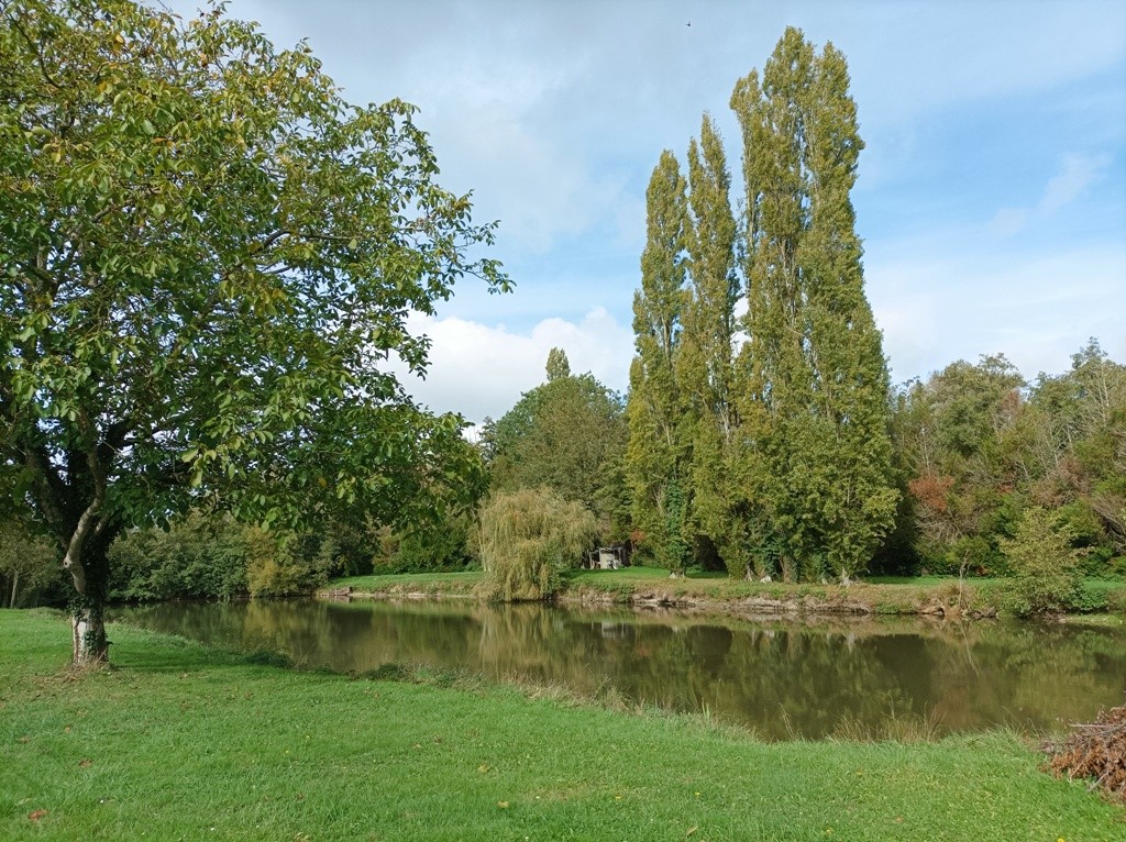 10 22 saint georges 12 un des etangs