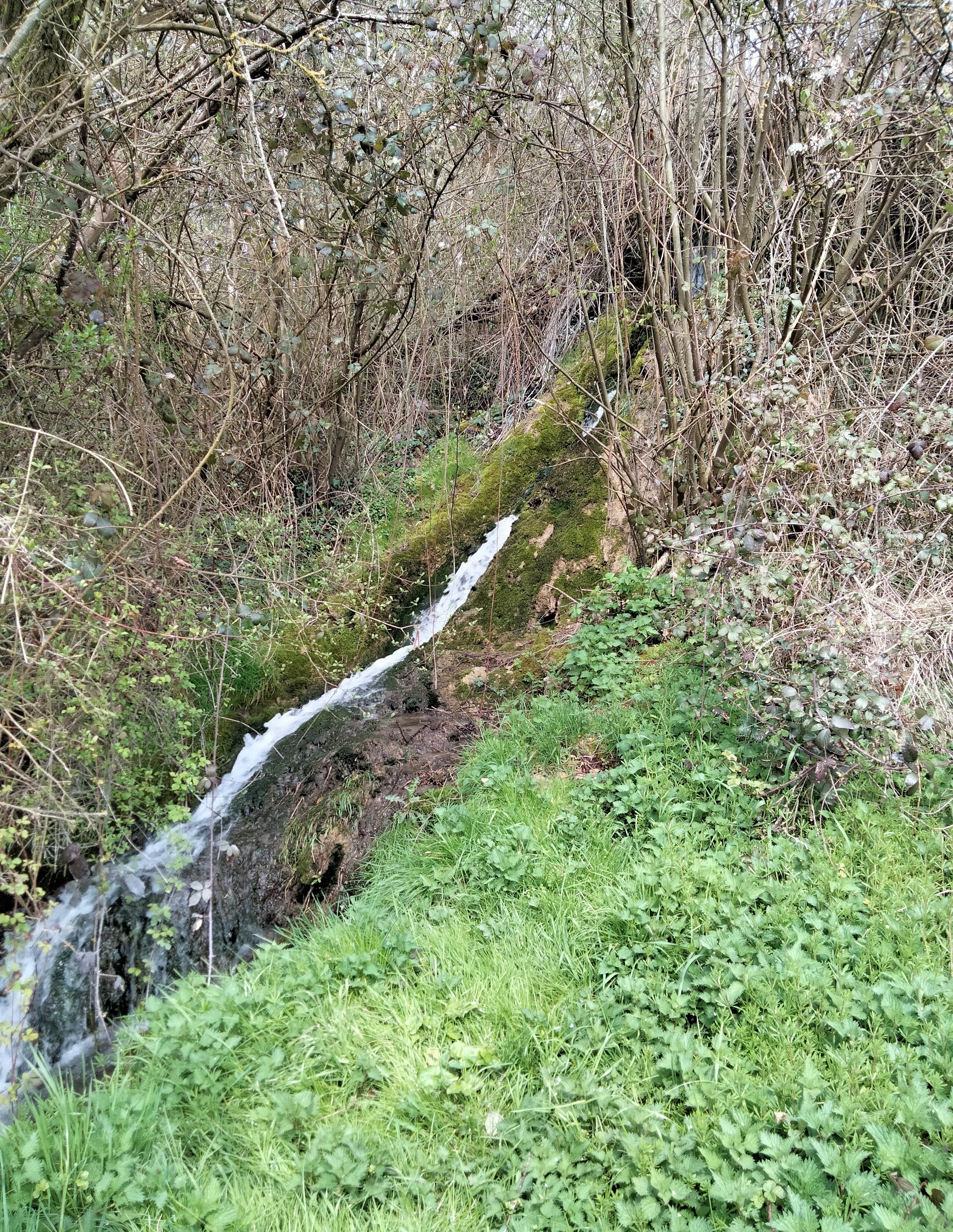 Cascade1