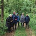 Dans les bois