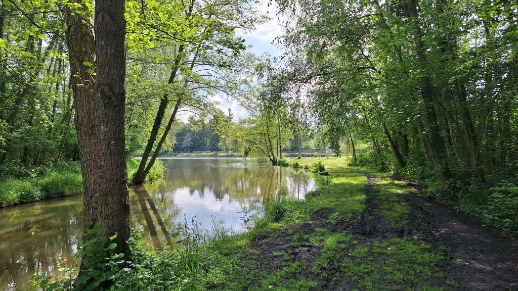 Etang de clairefontaine 05 19