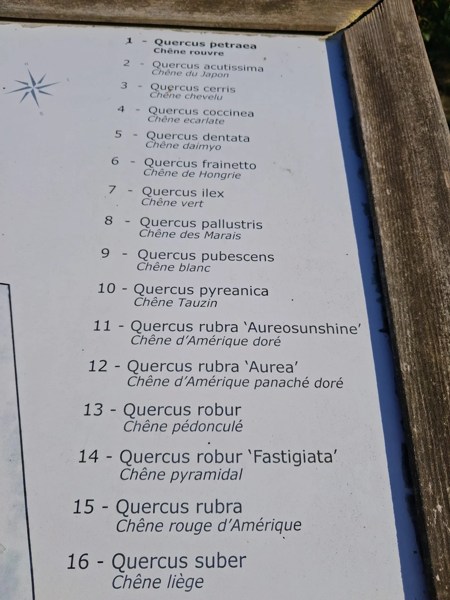 Grosrouvre 10