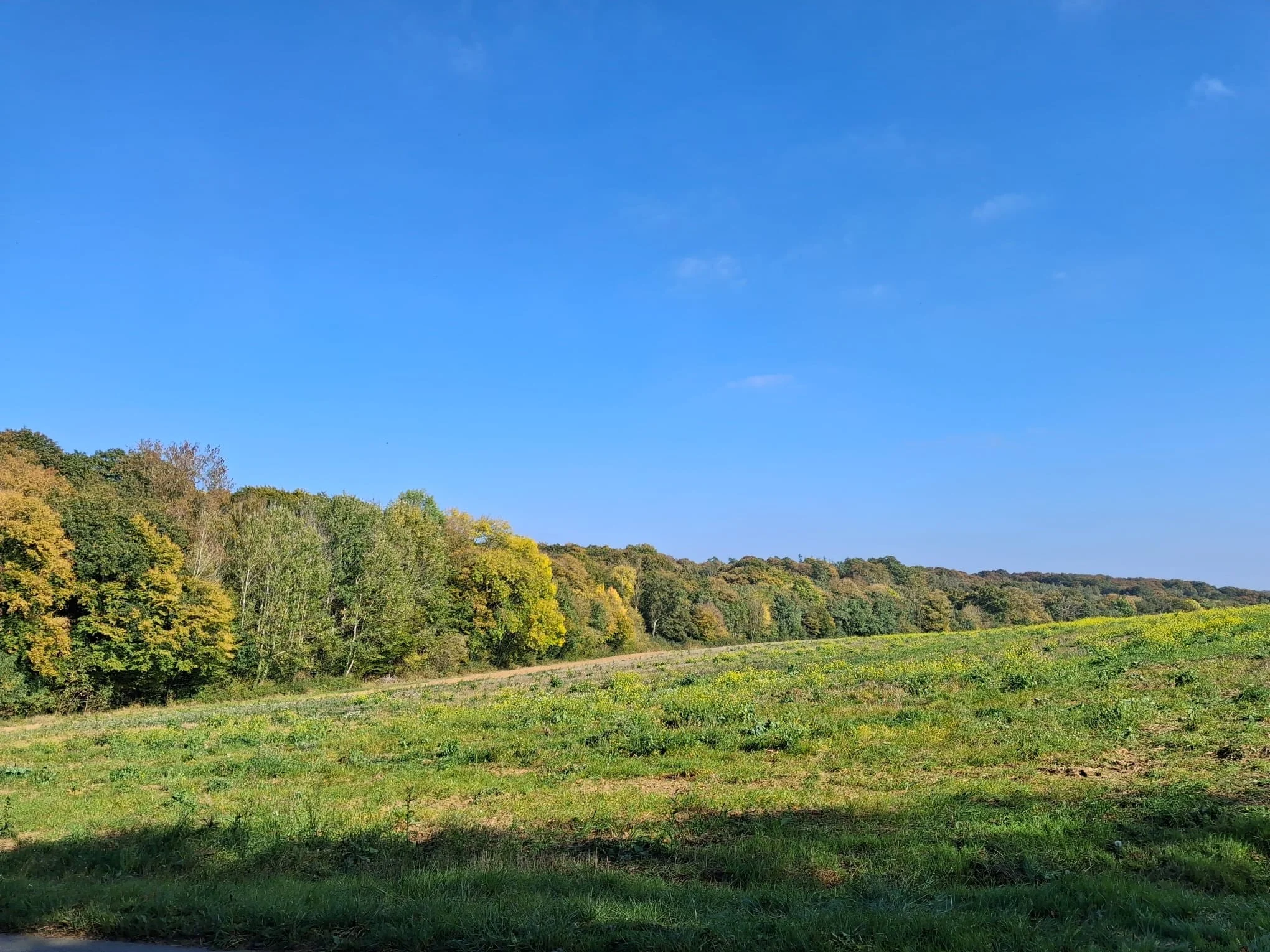 Grosrouvre 9