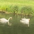 Img 6787