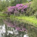 Img 6788