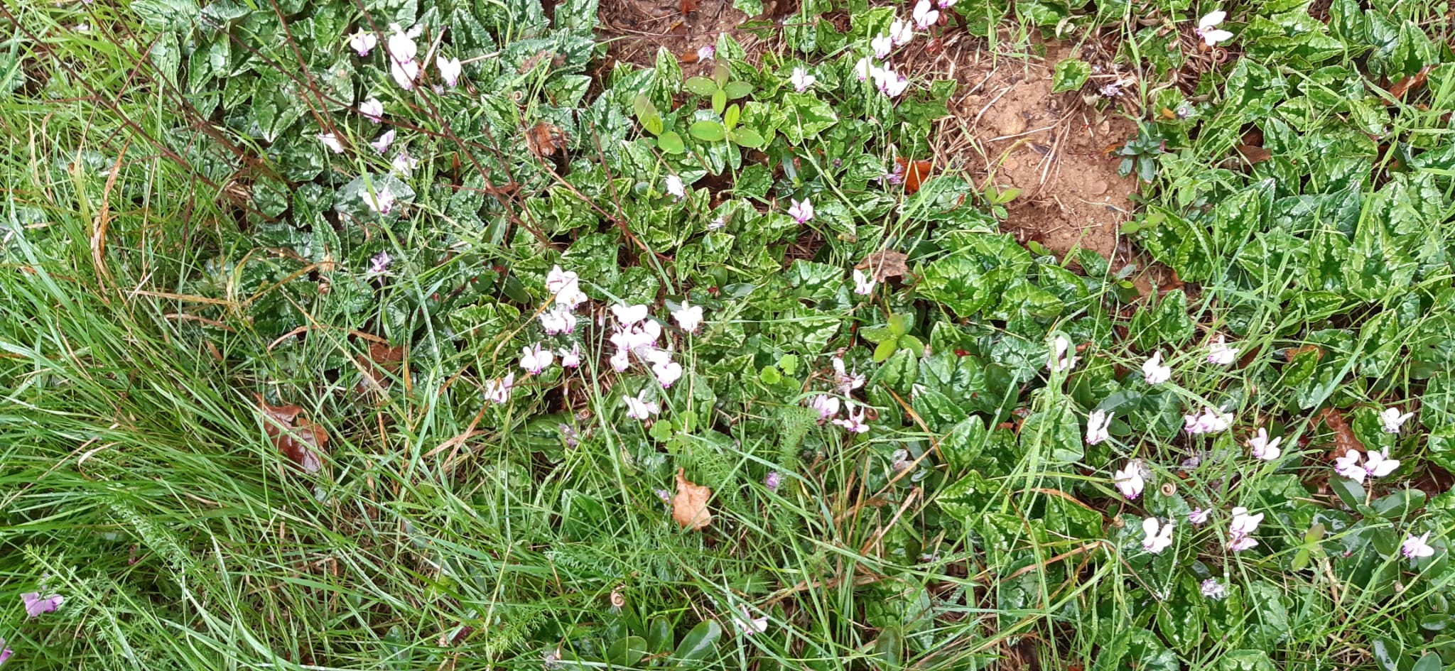 La nature du jour